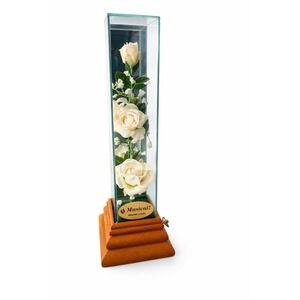 Vintage White Rose Music Box Decorative Display Case "Memory"‎ Cats